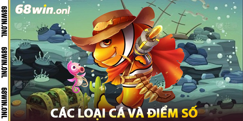 Các Loại Cá Và Điểm Số