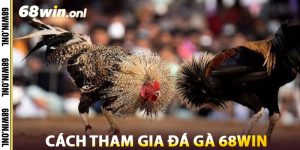 Cách Tham Gia Đá Gà 68win